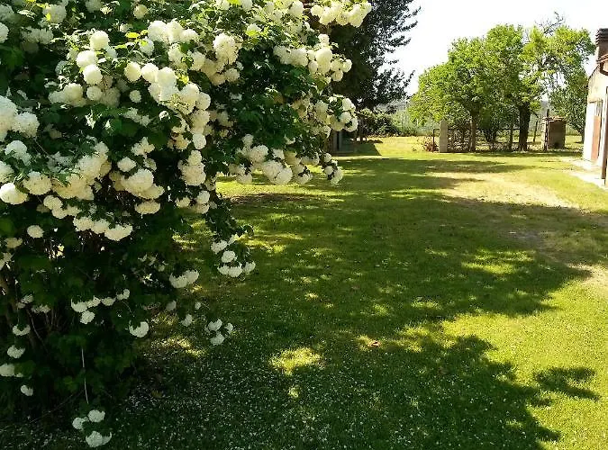 Bed & Breakfast Art Gli Aironi 3*