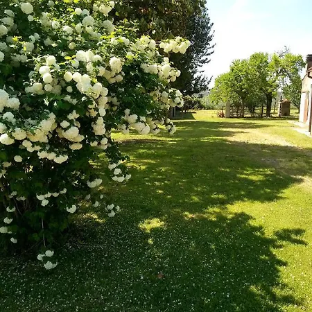 Bed & Breakfast Art Gli Aironi 3*
