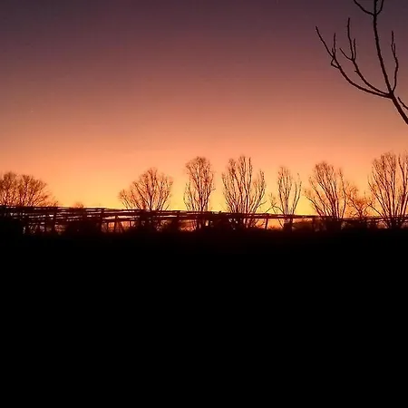 Art Gli Aironi Bed & Breakfast Pomposa