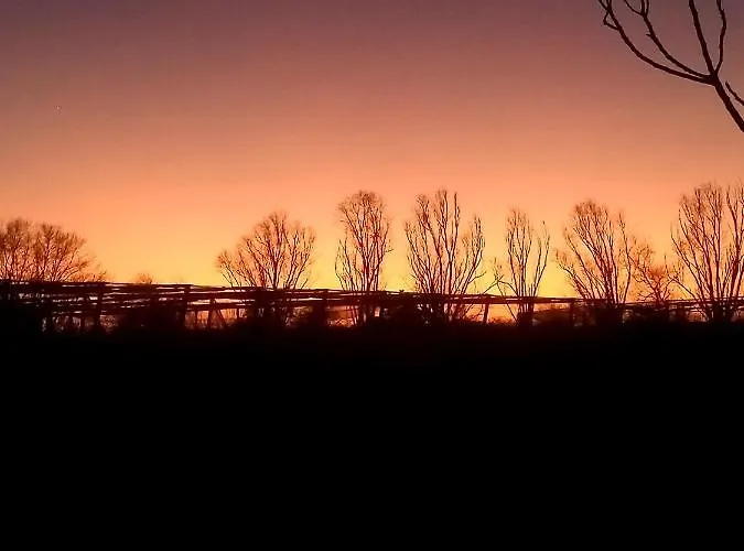 Art Gli Aironi ベッド・アンド・ブレックファスト Pomposa