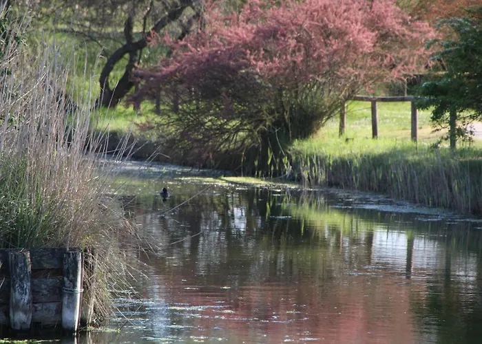 Art Gli Aironi ベッド・アンド・ブレックファスト 3*