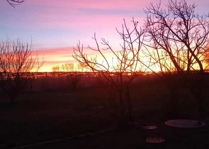 ベッド・アンド・ブレックファスト Art Gli Aironi Pomposa